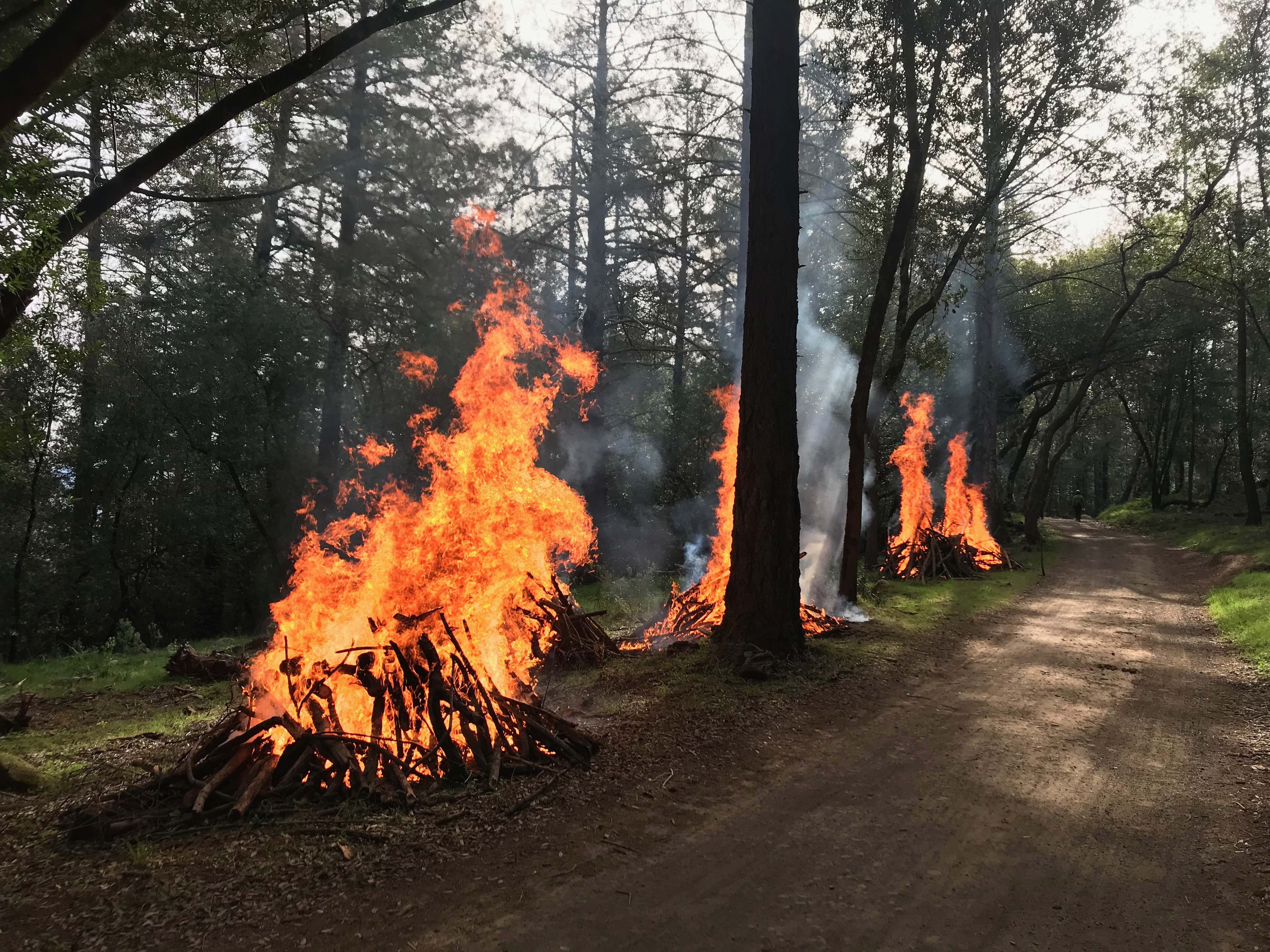 Pile Burn Along Warren Richardson Fire Road in 2023